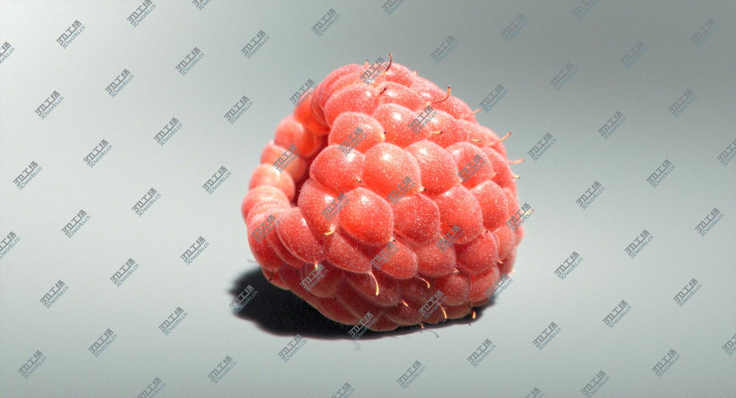 images/goods_img/2021040232/3D Raspberry (fur)/4.jpg